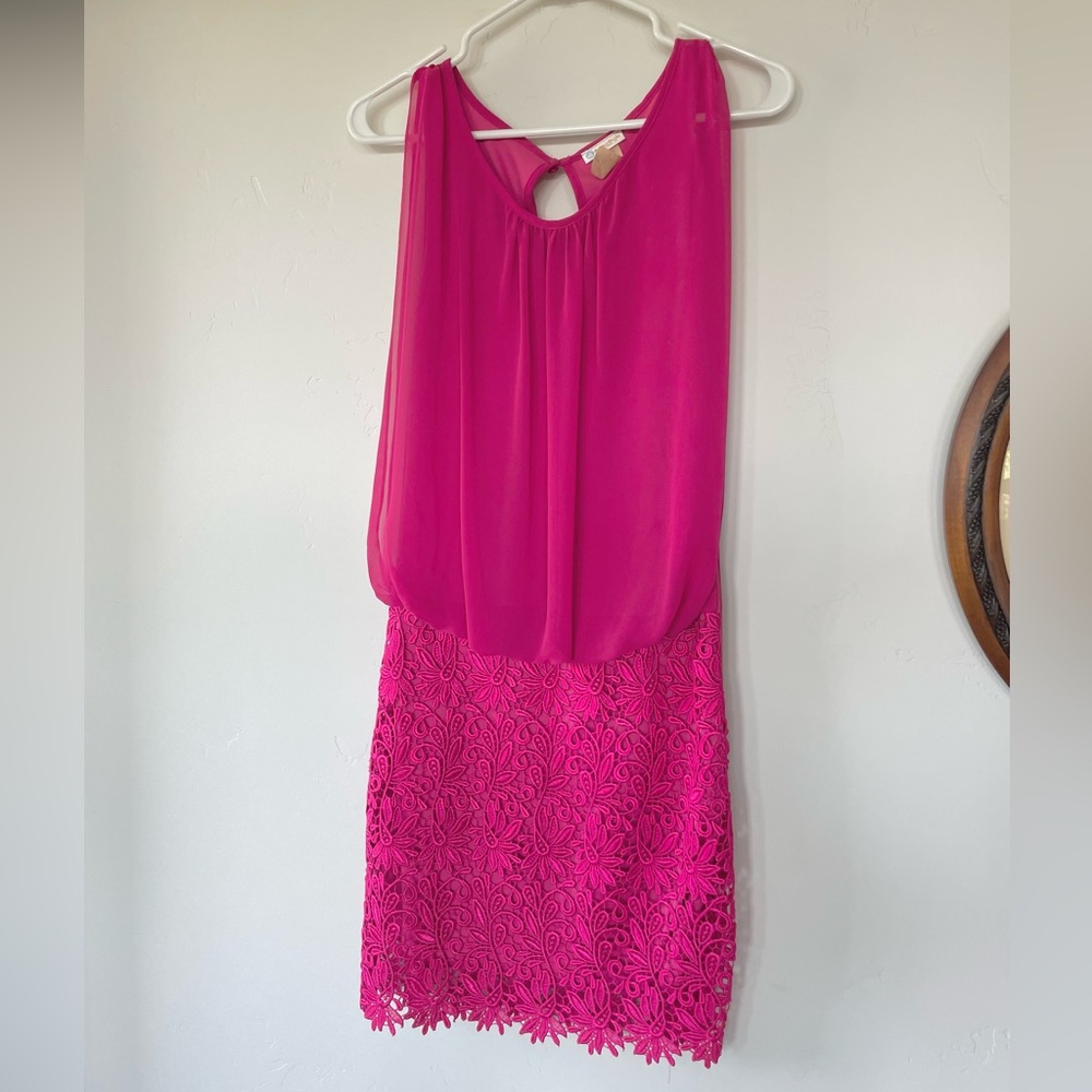 Small Fuchsia Dress